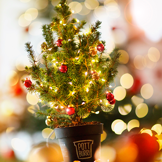 Mini-Tannenbaum weihnachtlich geschmückt